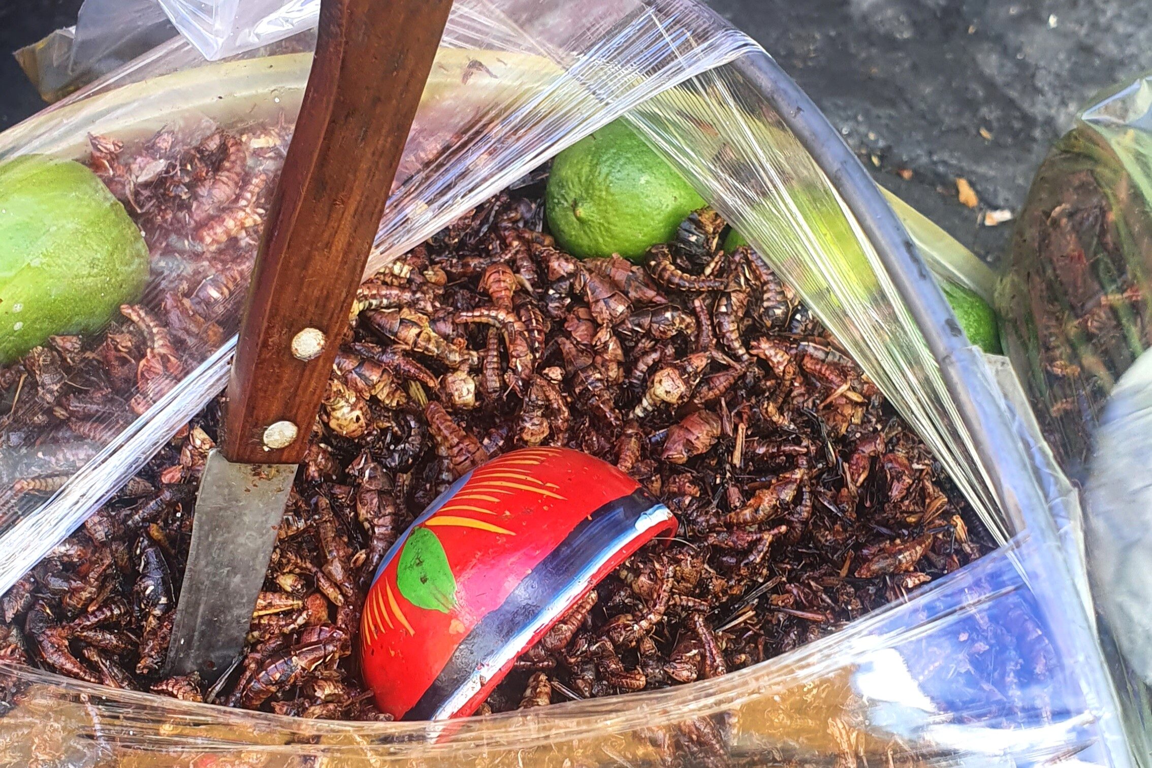 Culinária mexicana e suas curiosidades - chapulin